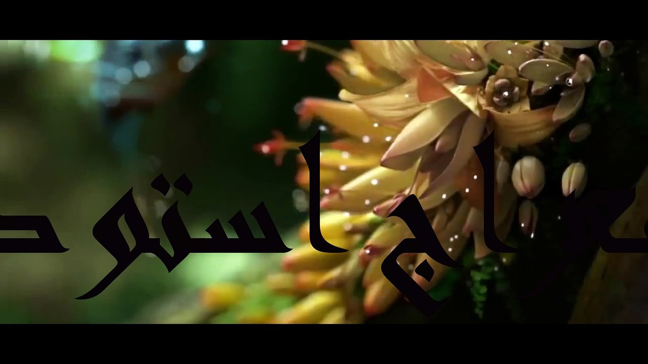 سورة الشعراء ایات ۷۸ الی ۹۰ با ترجمه دری