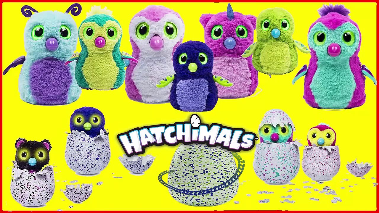 NEW HATCHIMALS MAGICAL SURPRISE EGG | Finger Family | Finger Family Songs