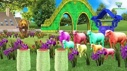 Learning Animals Music English Rhymes || Animals Cartoons For Children | 3d Animation Song