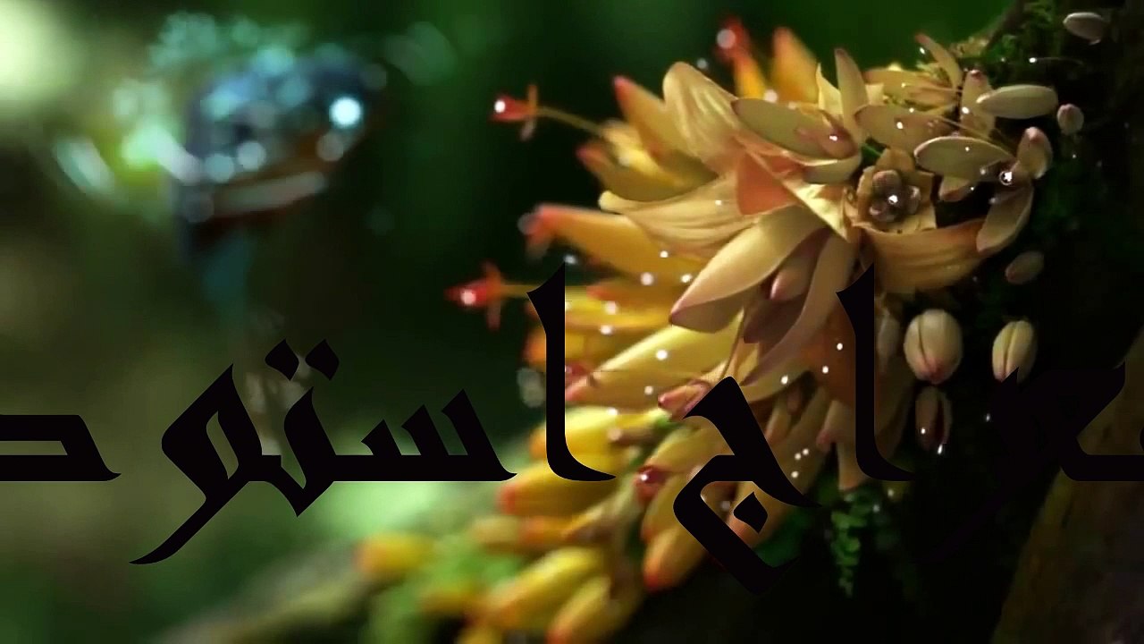 sura buruuj  سورة البروج با ترجمه دری