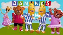 Bananas in Pyjamas new Finger Family | Nursery Rhyme for Children | 4K Video