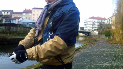 DSCF0004 pêche a la mouche noël 2016 (vichy )