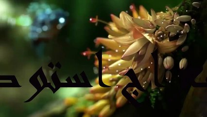 سورة الفاتحة و سورة المطففين آيات.٢٩الي٣٦