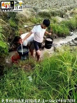 FUNNY VID-20161208-WA000