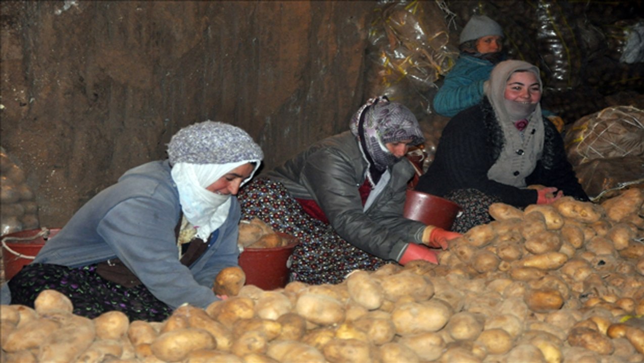 Sofranızda patatese yer açın