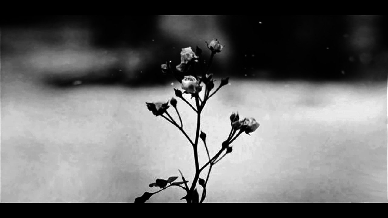 Chopin - Spring Waltz