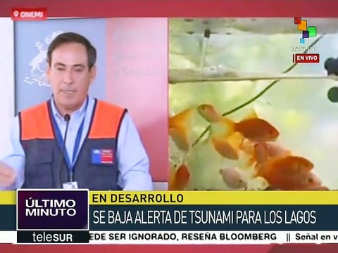 Chile: bajan alerta de tsunami para la región de Los Lagos tras sismo