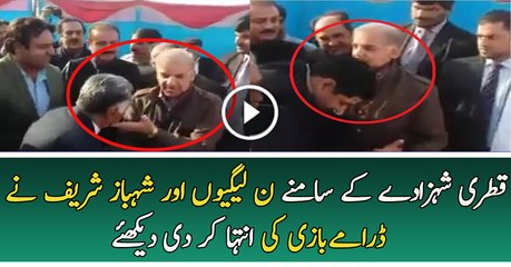 Dramay Baziyan of PML-N or Shahbaz Sharif in Front of Qatari Shazada