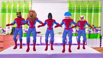 Spiderman Loses His Face Becomes Dinosaur Gorilla Lion Finger Family &More Nursery Rhymes Collection