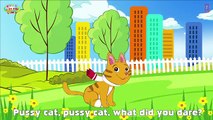 PUSSY CAT & TEN LITTLE INDIANS | Popular Nursery Rhymes For Children By Kids Hut | Rhymes