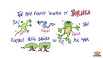 Fun Facts About Reptiles