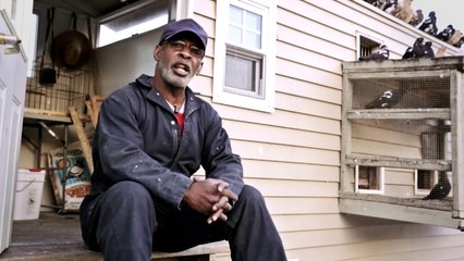 A Short Documentary on NYC s Pigeon fancier