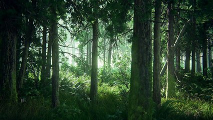 Ellie - Through The Valley (from The Last of Us- Part 2)