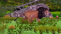 Animals Short Movie | Lion Attacks Tiger Rhino And Many Animals In Jungle | Animals Fight To Death