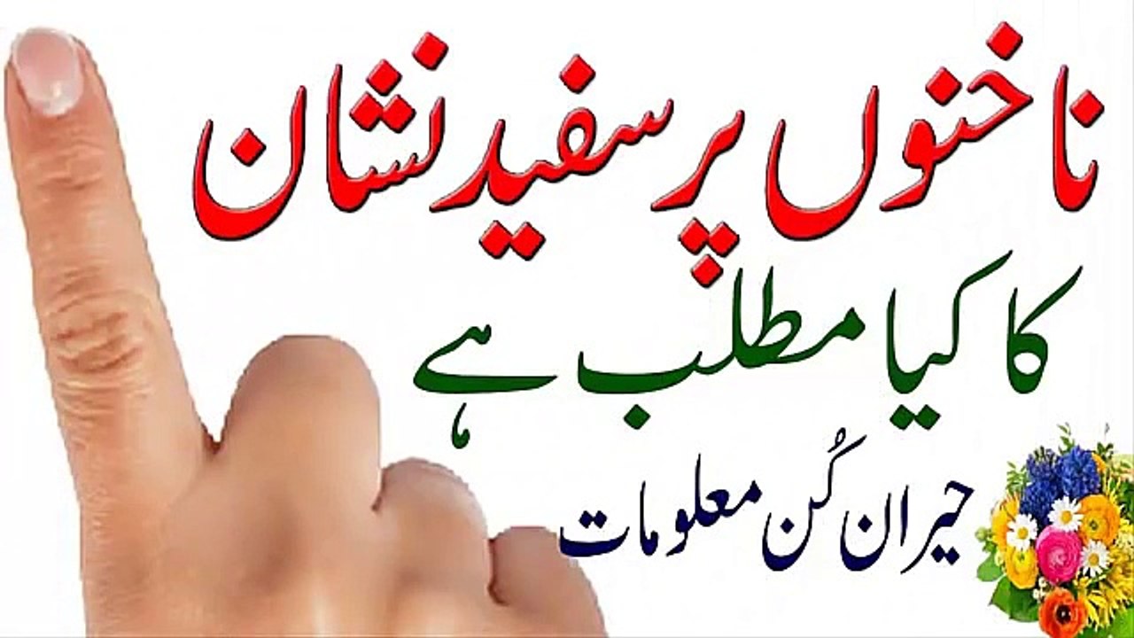 Nakhnon Per Sufaid Nishan Ka Kiya Matlab Hai in Urdu ناخنوں پر سفید نشان کا ہونا