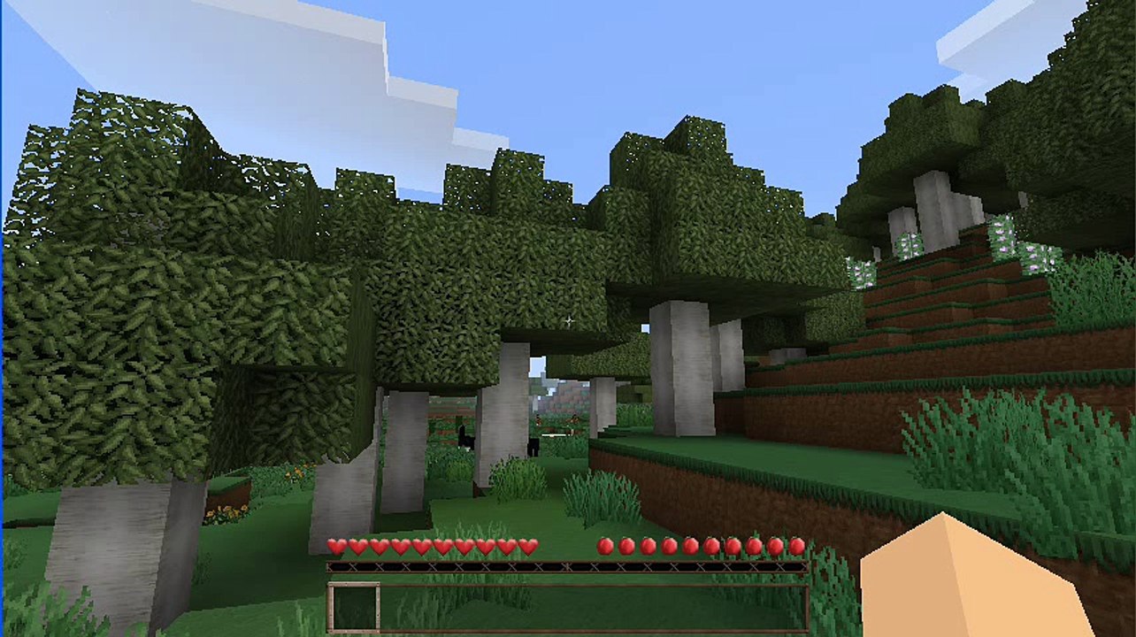 Minecraft OMG
