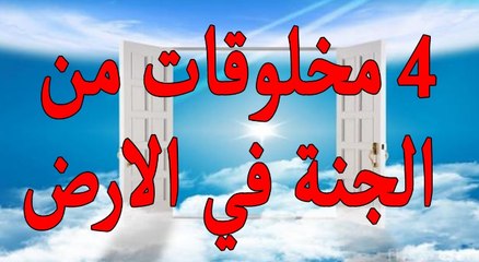 أشياء من الجنة نزلت علي الارض في السعودية والعراق ومصر ؟ وموجودة الي الأن