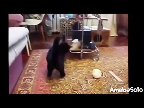 Clip hài hước nhất thế giới - cười bể bụng