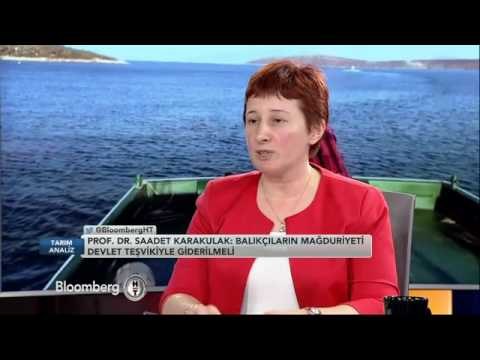 Tarım Analiz Türkiye'de Balıkçılık | 6 Nisan 2016