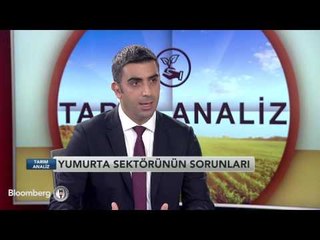 Tarım Analiz | Yumurta | 10 Ağustos 2016