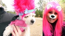 Trolls Puppy Makeover (Poppy, Branch, Guy Diamond) Dreamworks