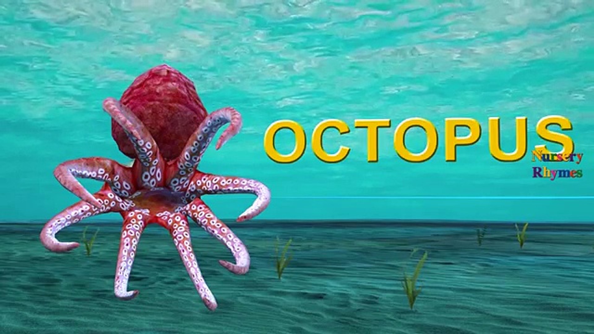 Sea Animals Names For Children | Learning Sea Creatures For Kids | Learn Deep Sea Animals