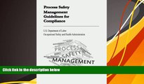 Read Online U.S. Department of Labor Process Safety Management Guidelines for Compliance Full Book