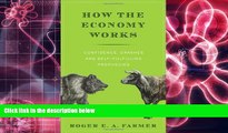 BEST PDF  How the Economy Works: Confidence, Crashes and Self-Fulfilling Prophecies READ ONLINE