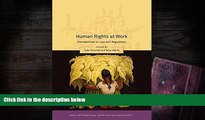 Buy  Human Rights at Work: Perspectives on Law and Regulation (Onati International Series in Law