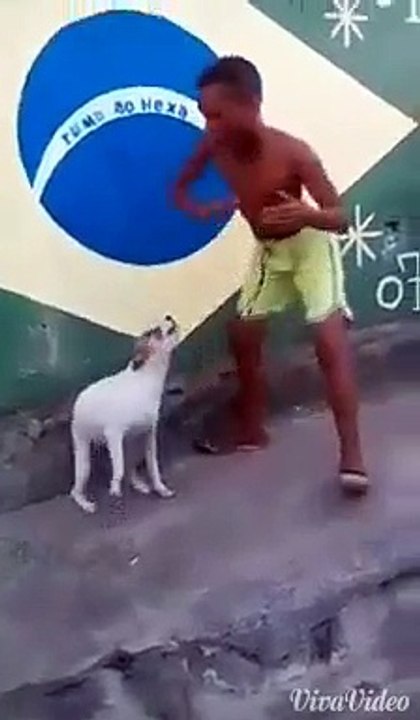 dog dance