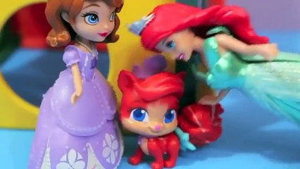 Ariel & Sofia the First go to Pet HOSPITAL Disney Frozen Anna Littlest Pet Shop Play DOH