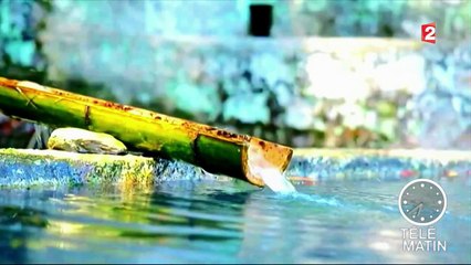 Echos du monde - Naoshima, paradis de l’art contemporain