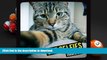 PDF [FREE] DOWNLOAD  Cat Selfies TRIAL EBOOK
