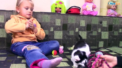 Котенок Барсик и Ярослава на ДЕТСКОЙ ПЛОЩАДКЕ. Выгуливаем Барсика - Играем. Видео для детей