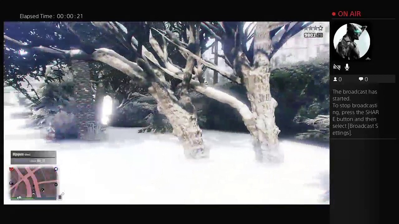 Gta5 (29)