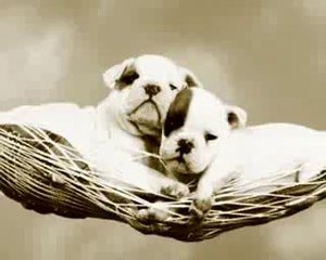 εγω και εσυ μαζι