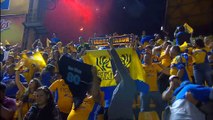 Mexique - Gignac et les Tigres sacrés champions !