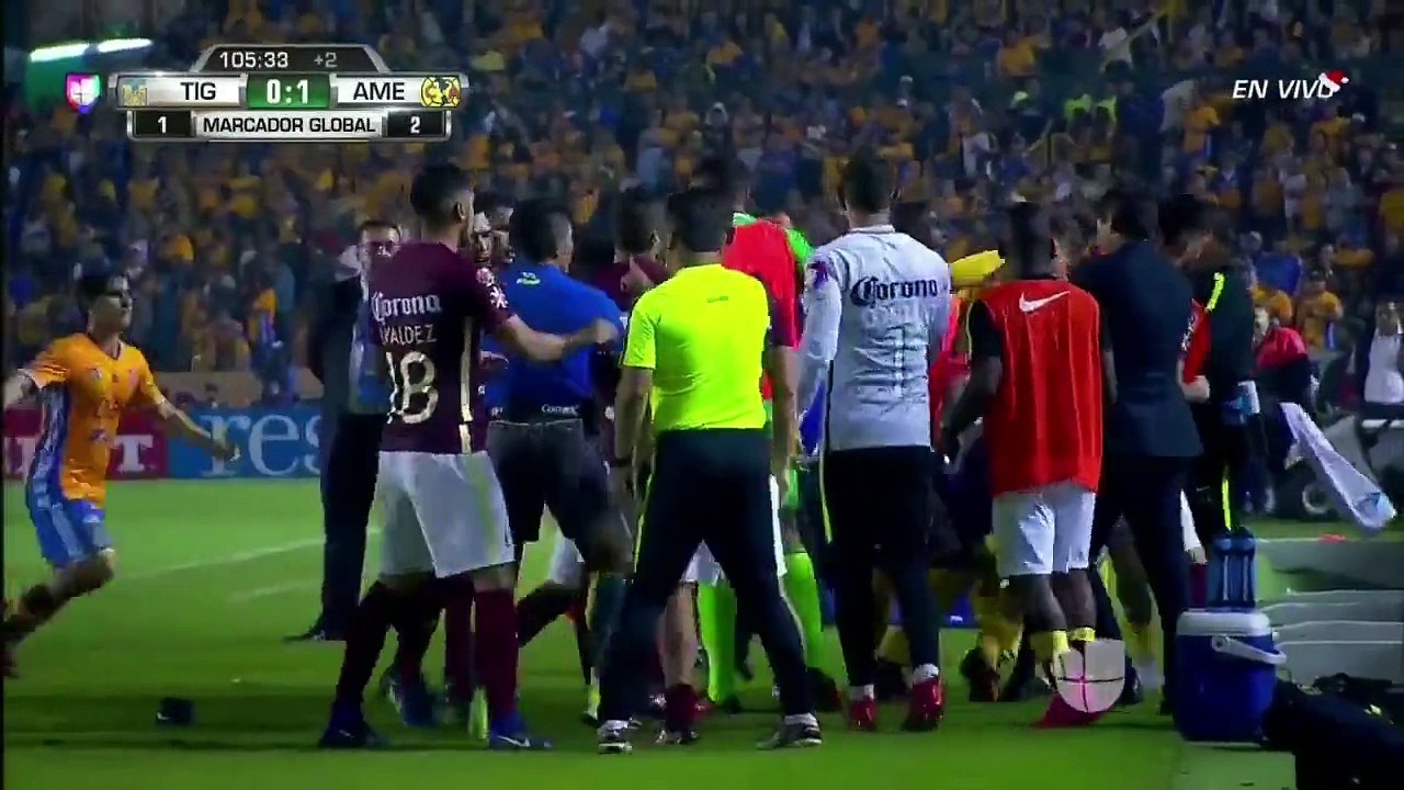 tigre not that bad