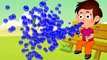 Colors for Children to Learn with Gumball Balloons - Colours for Kids to Learn, Kids Learning Video