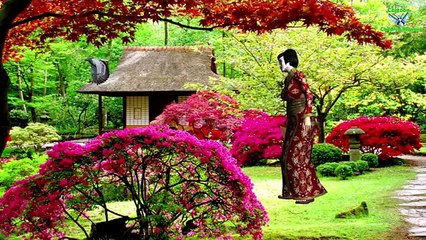 Crocodile Cartoons Singing Finger Family || Nursery Rhymes For Cartoon Children Rhymes