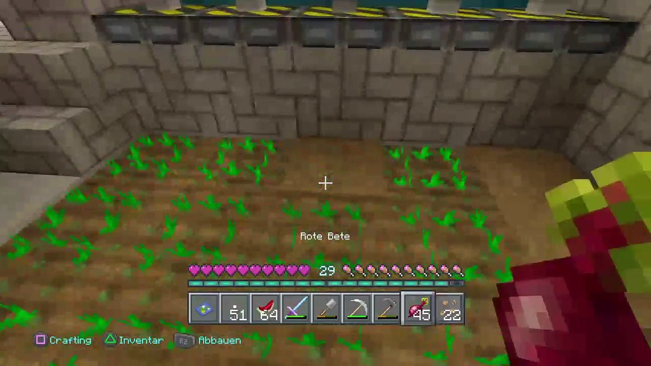 DonAleszandro's Minecraft : ««-Weg Absicherung zur Nether-Festung-»» (622)