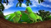 Chitti Chilakamma Parrots 3D Animation Telugu Rhymes for children with lyrics