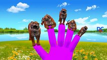 Finger Family Tiger Vs Crocodile Cartoons For Children Nursery Rhymes | Finger Family Songs