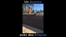 Une chute de dominos version brique !