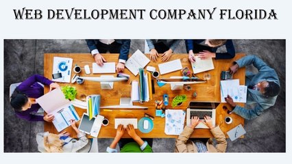 Web Development Company Florida