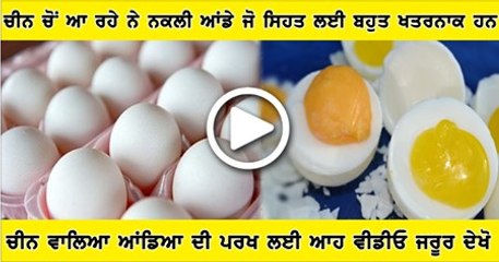 Fake Eggs from China