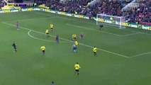 0-1 Yohan Cabaye Goal HD - Watford 0-1 Crystal Palace 26.12.2016