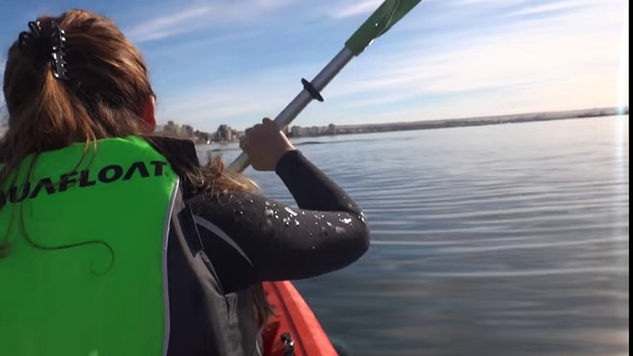 Un kayak soulevé par une énorme baleine