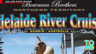 Cocodrilo vs Tiburón: Cocodrilo gigante atrapa a un tiburón toro en un rio de Australia by TomoNews MX