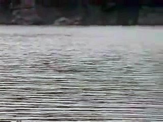 바카라베팅방법ぶ／／ ＧＭ５５４。COM  ／／ゎ인터넷카지노사이트